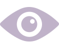 Vision icon